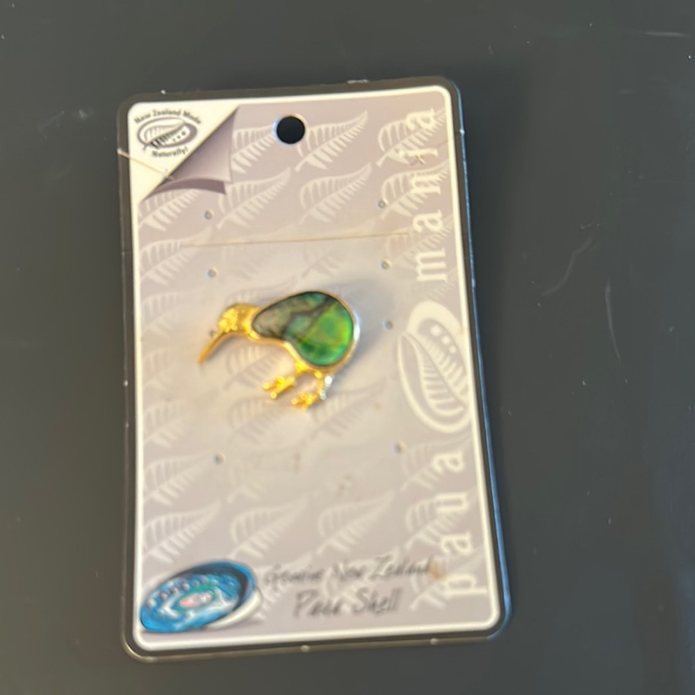 Paua Shell Kiwi Brooch - Green and Gold
